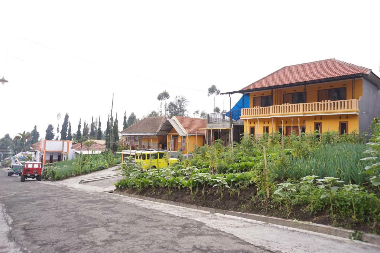 Homestay Lereng ברומו מראה חיצוני תמונה