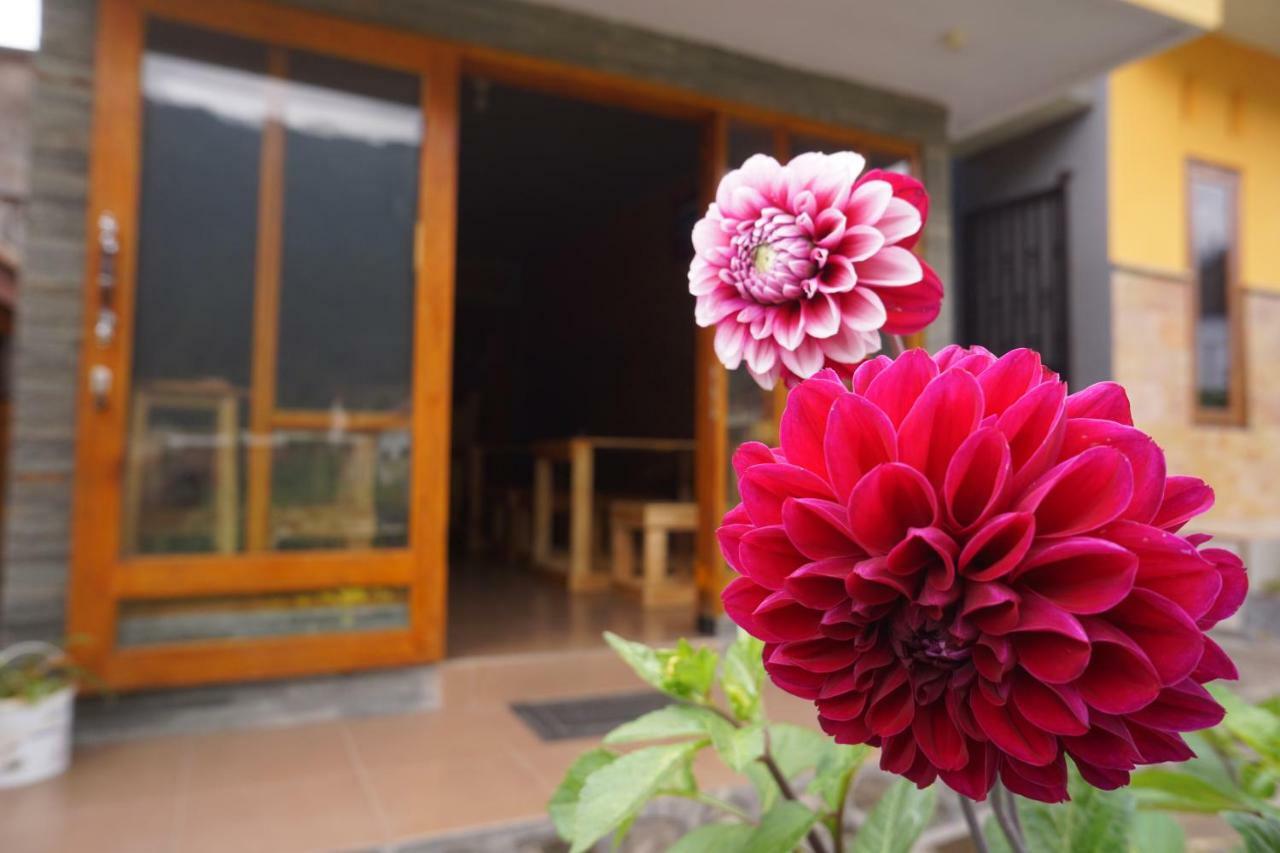 Homestay Lereng ברומו מראה חיצוני תמונה
